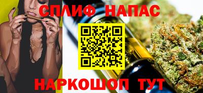 apvp Гусев