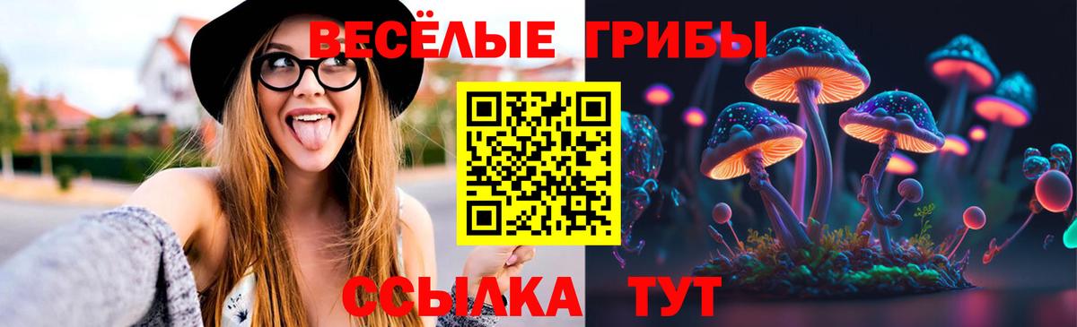 Псилоцибиновые грибы GOLDEN TEACHER Заинск